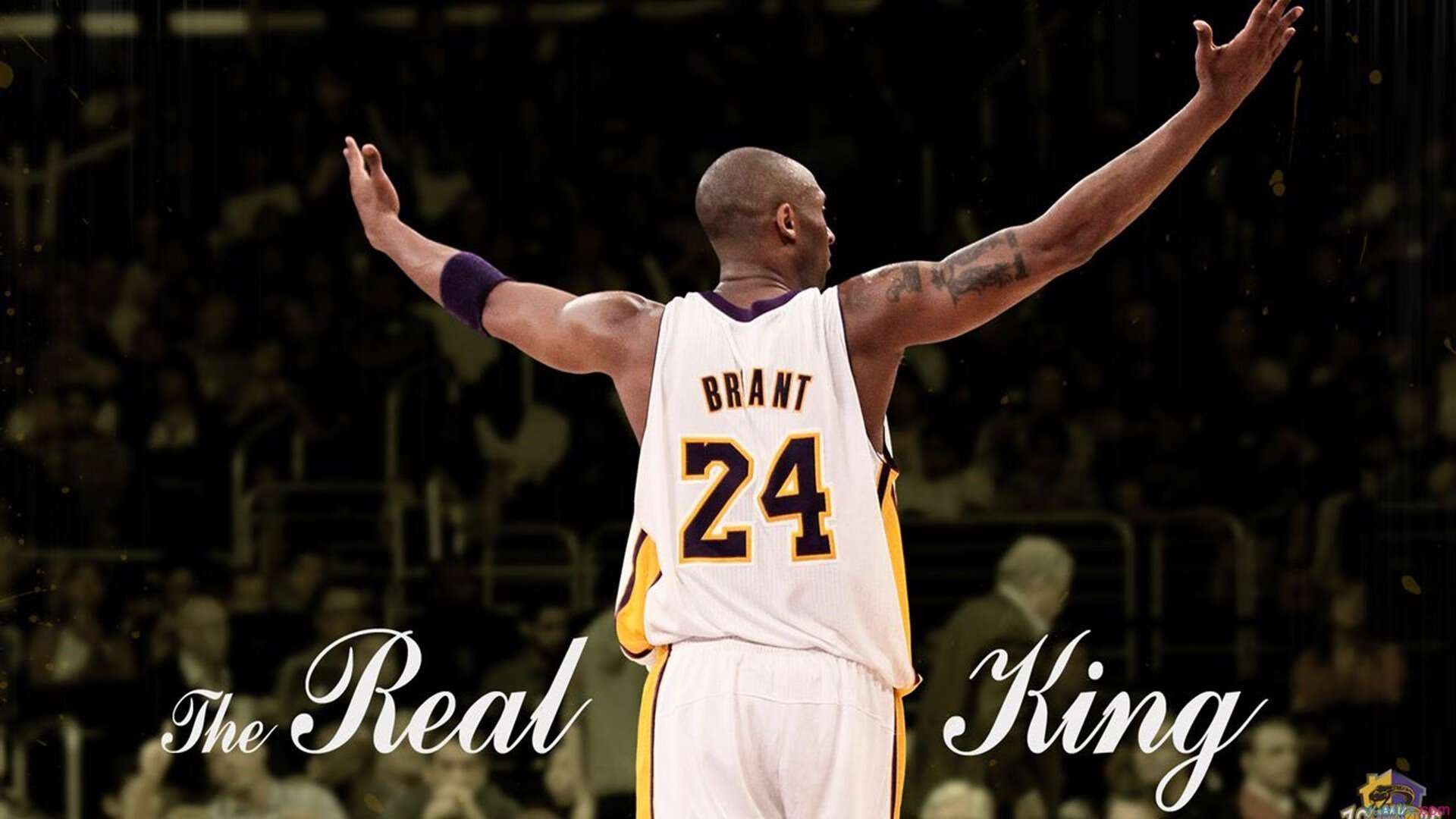 开云官方直播-“南非羚羊队的强大阵容:萨尔·巴赫和其他新星的完美搭档”